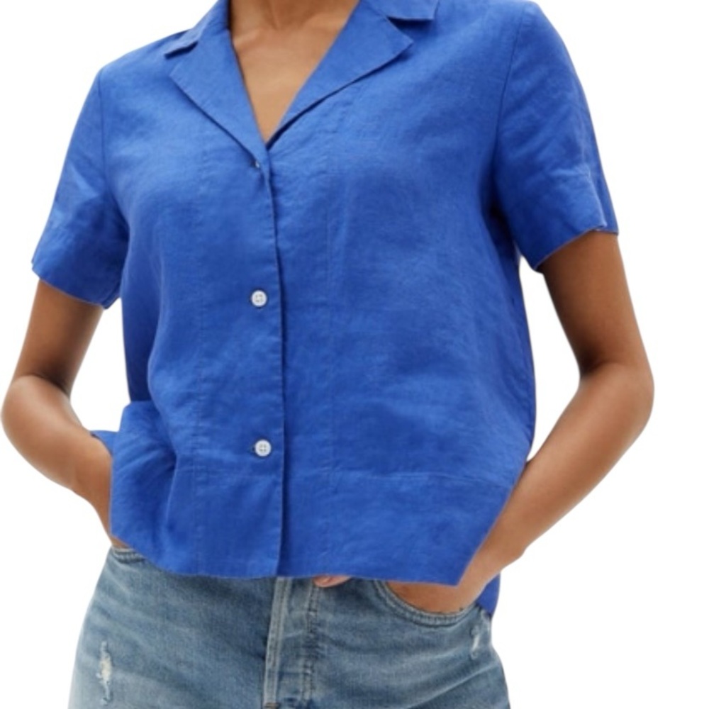 Everlane Blue Button Down Shirt